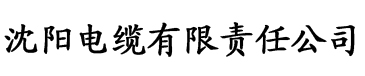 亚洲国产欧美日韩二区三区电缆厂logo